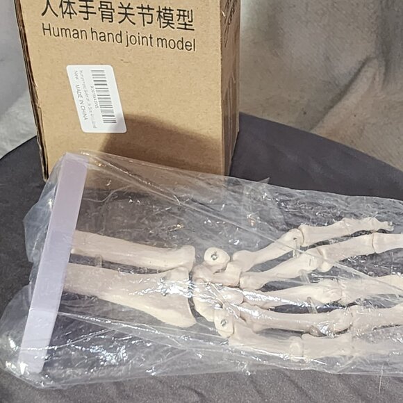 Human Hand Articulated Joint Model on Base - Picture 14 of 16